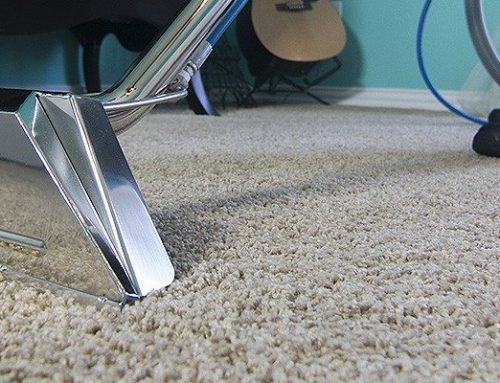 What Takes Pet Urine Smell Out of My Carpet?