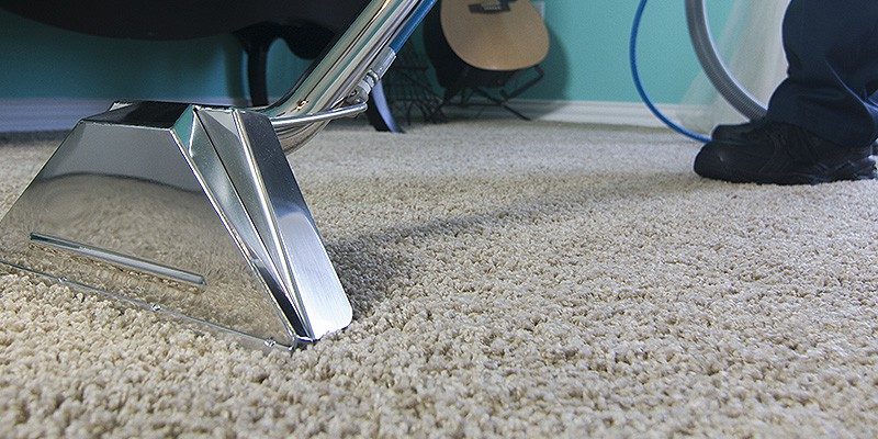 Professional Carpet Cleaning Service