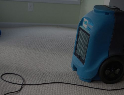 Can My Carpet Be Saved After a Flood?